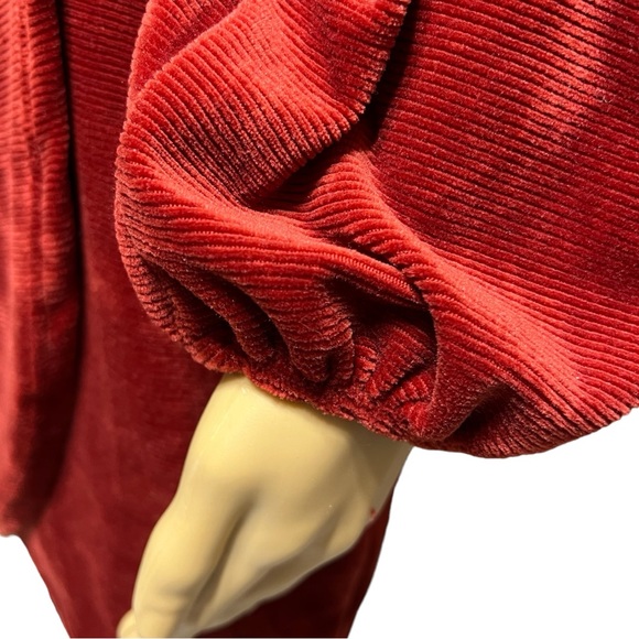 BLUE BLUSH Red Terracotta Dress Women's Sz Medium Long Sleeve Christmas New Year - Picture 4 of 7